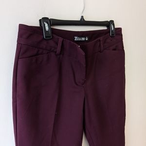 7thAve Maroon Dress Pants